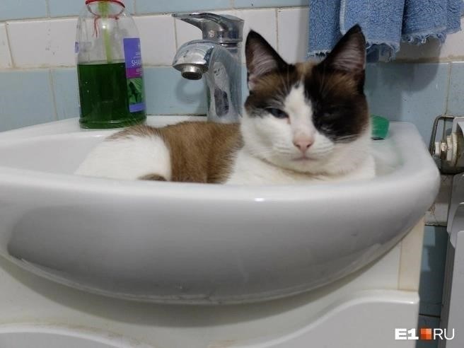 К кому обращаться в случае неожиданного отключения воды