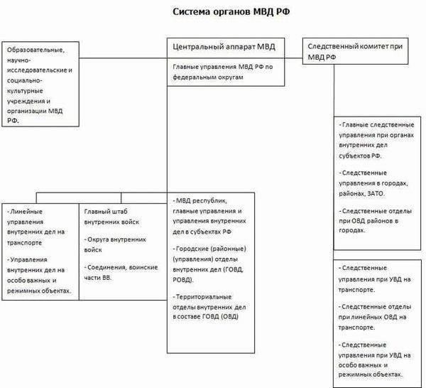 Организационная структура УМВД: Основные подразделения и их обязанности