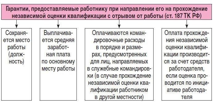 Права работника на обучение и оценку квалификации в соответствии с Трудовым кодексом Российской Федерации