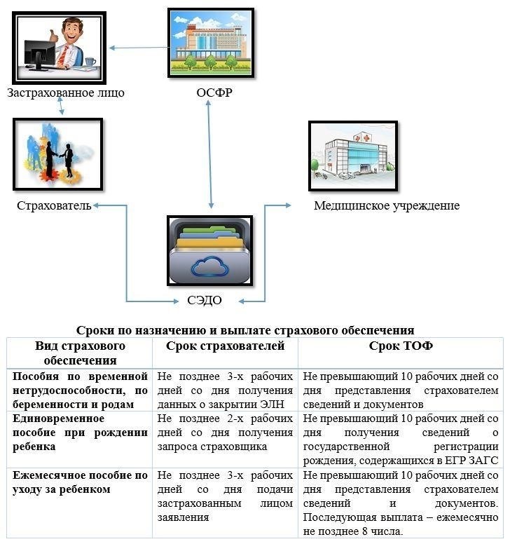 Законность электронных страховых документов в России